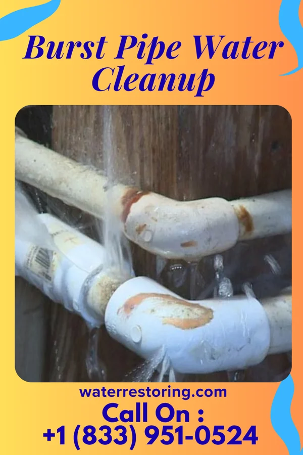 Burst Pipe Water Cleanup in Morgan City, LA